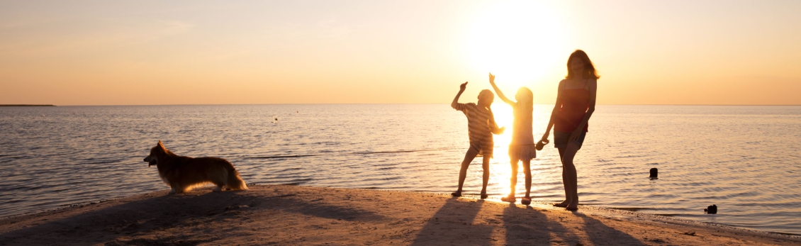 Famiglia con cane sulla spiaggia al tramonto con zanzare