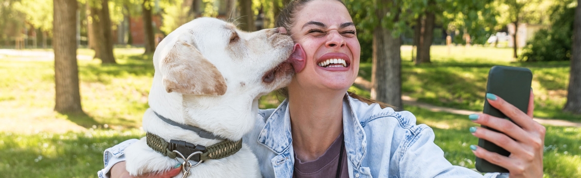 Cane lecca la faccia alla proprietaria