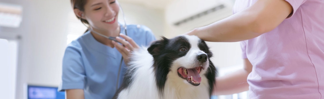 Sterilizzazione