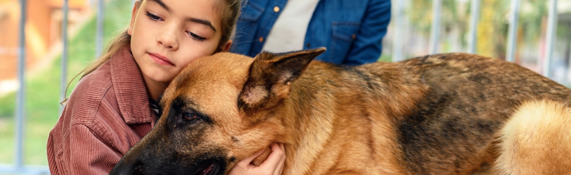 Cane pastore abbracciato da bambina