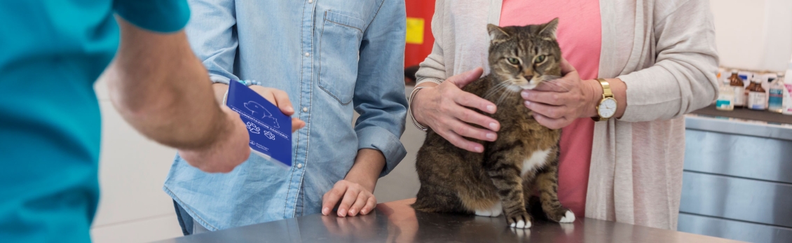 Famiglia con gatto dal veterinario per la vaccinazione