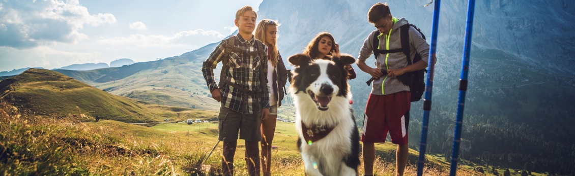 Gruppo di ragazzi in montagna per un trekking con un cane