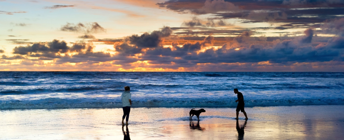 Coppia con il cane sulla spiaggia al tramonto