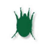 Icona verde che raffigura un acaro di rogna auricolare