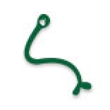Icona verde che raffiugura un ancilostoma