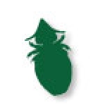Icona verde che raffigura un pidocchio del gatto