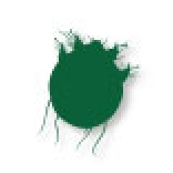 Icona verde che raffigura un acaro della rogna notoedrica