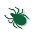 Icona verde che raffigura una zecca