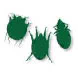 Icone verdi che raffigurano acari e pidocchi del gatto