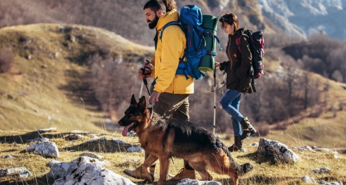 Gruppo di persone con un cane in montagna per un trekking