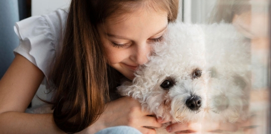 Bambina che abbraccia cane bianco barboncino 