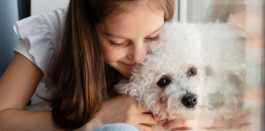Bambina che abbraccia cane bianco barboncino
