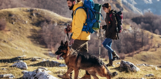 Gruppo di persone con un cane in montagna per un trekking