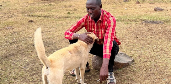Ragazzo africano che accarezza un cane