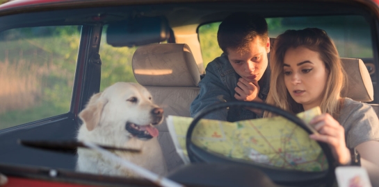 Proprietari con cane in auto che guardano l'itinerario della vacanza